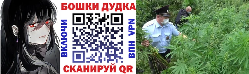Бошки марихуана MAZAR Кувшиново